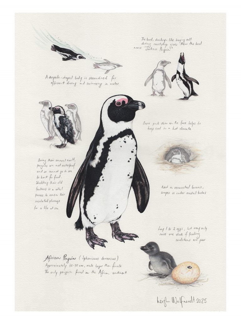SSP-13_Sketchbook-